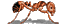 Fire Ant